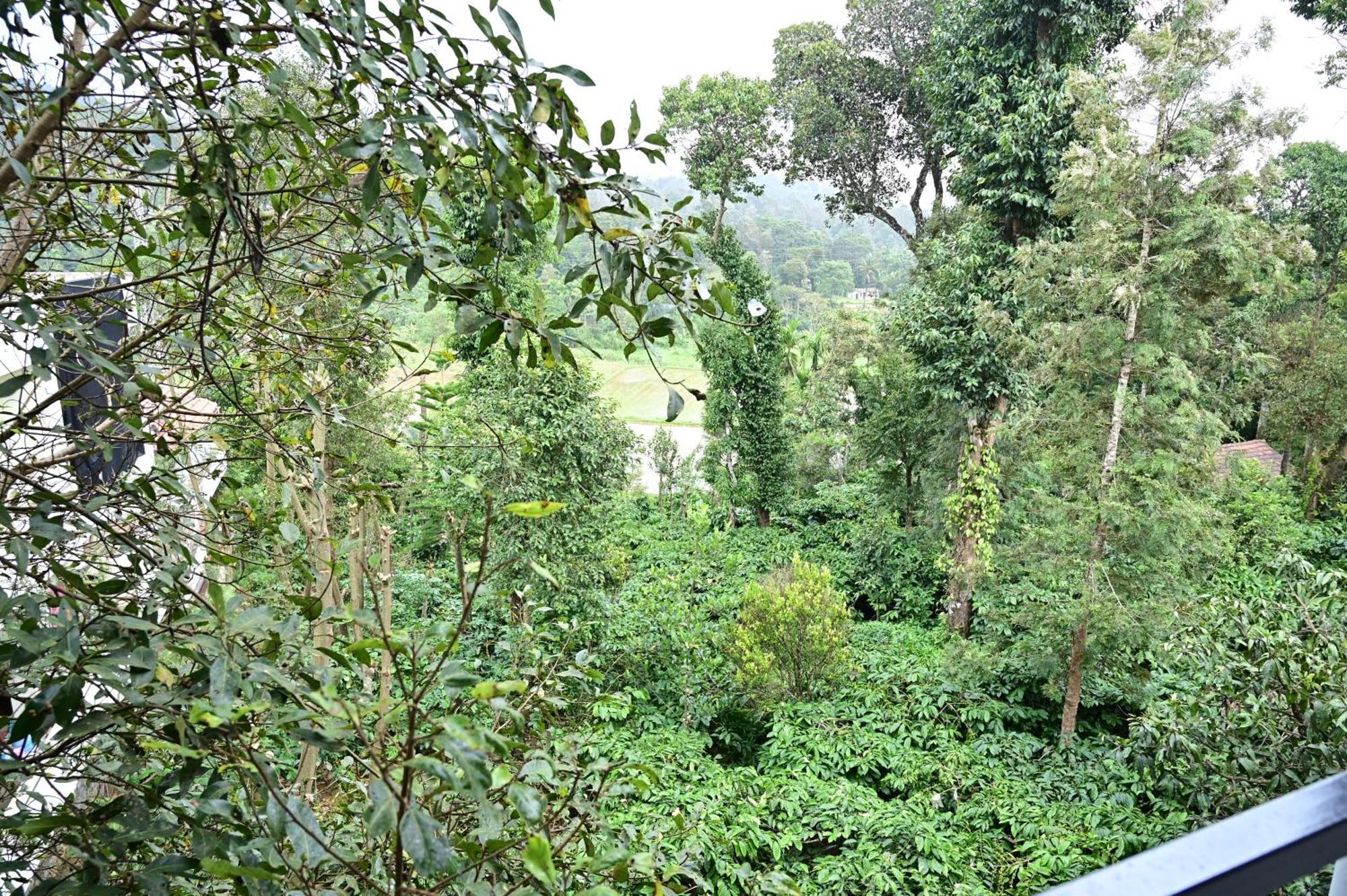 Grand Misty Heaven Villa Madikeri Dış mekan fotoğraf